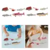 Life Cycle of Salmon Toys Teaching Tools Farm Animals Figurines for Storytelling Presentations Daycare Role Play Birthday Gifts 3