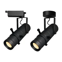 Black Adjustable Aperture10w 20w 30w COB Ceiling Museum-Specific CalligraphyPainting Cutting Lights Graphic Clipping Track light 2