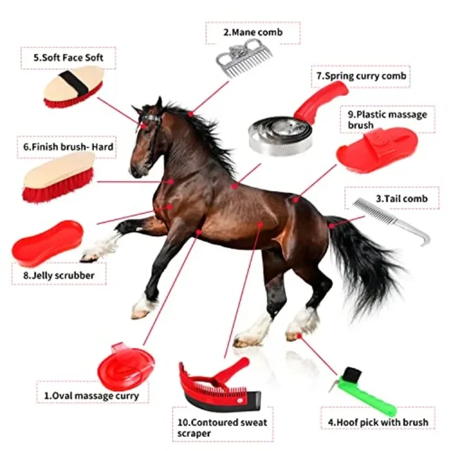 New Horse Grooming Tool Set Cleaning Kit Comb Pet Cleaning Brush Stainless Steel Curry Groomer Tail Comb Kit Scrubber 5