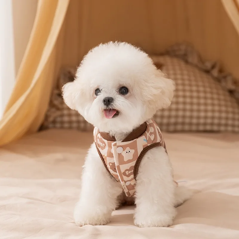 Hund Zweibeiniger Gepolsterter Mantel Winter Teddy Plaid Kleidung Verdickte Wärme Malteser Daunenjacke Haustier Cartoon Oberbekleidung_voghion.com