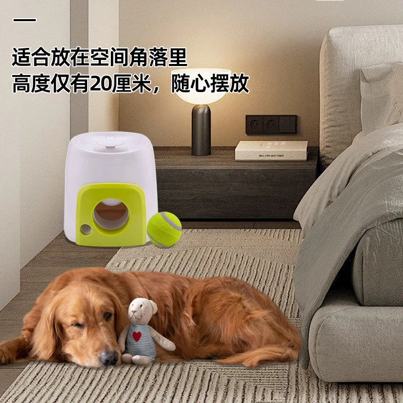 �Ƹ��� ������ �״Ͻ� �� ���� �峭�� ���� ����Ʈ�� �ǳ� ���ͷ�Ƽ�� �ֿϵ��� �ڵ� �޽ı�