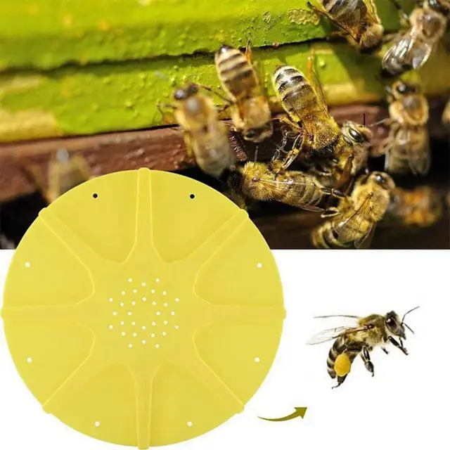 26 Cm 8 Ways Bee Escape Device Mage Ajtó Méhkapu Kerek Lemez Méhészeti Ellátás Méhészkészítő Eszközök - Image 2