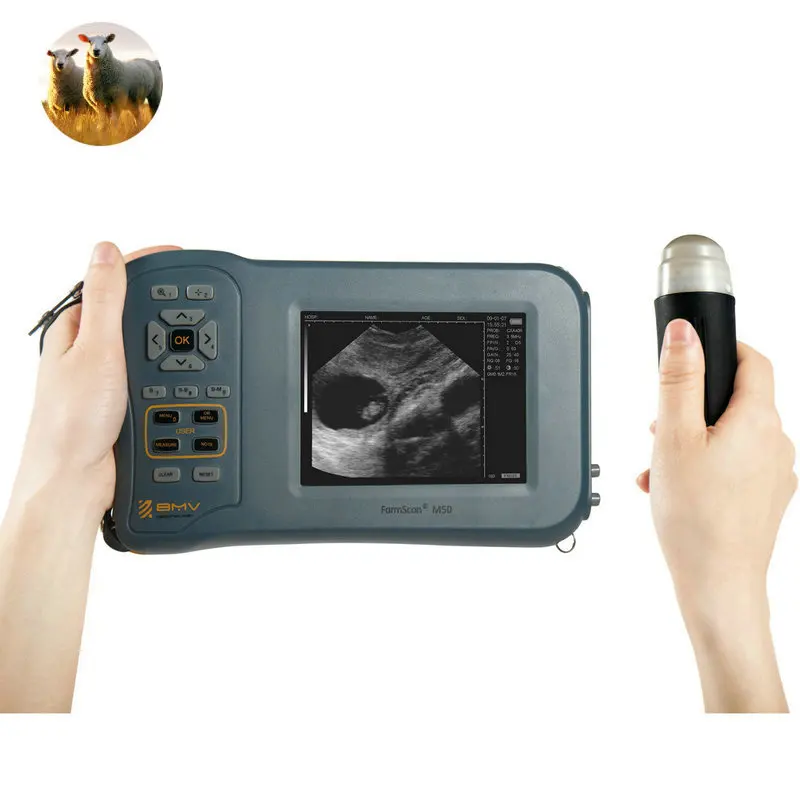 

BMV vet animal ovejas ecografo ecografos para cerdos ultrasonido portatil veterinary