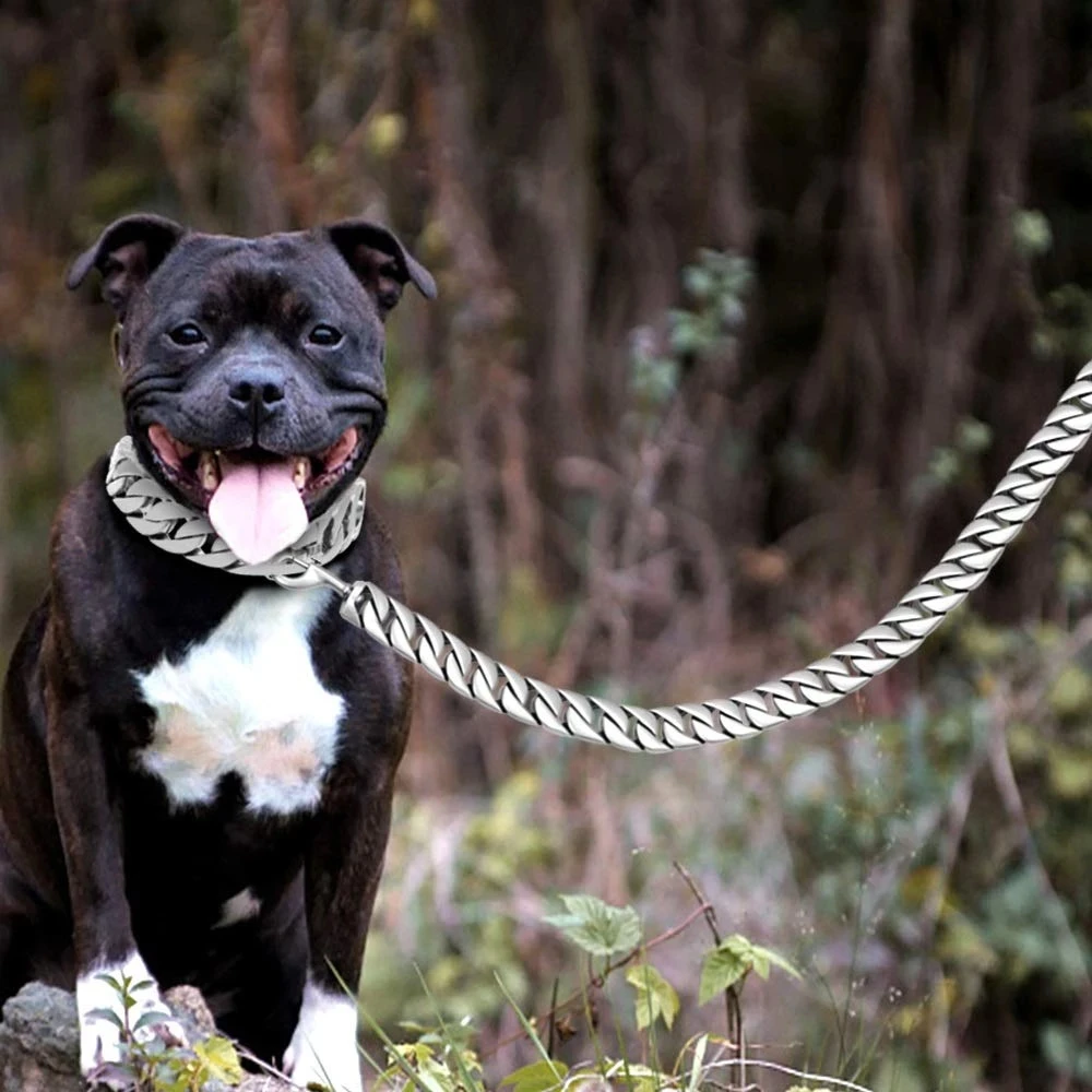 Durable Stainless Steel Dog Gold Silver Chain Lead - PeticaDeals