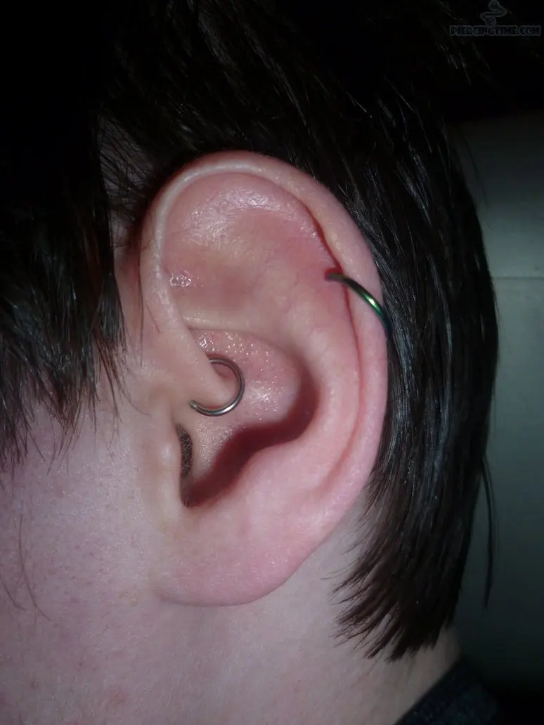 5pc Anelli Da Naso Cerchio Incernierato Clicker Segmento Anelli Da Naso - Foto 5