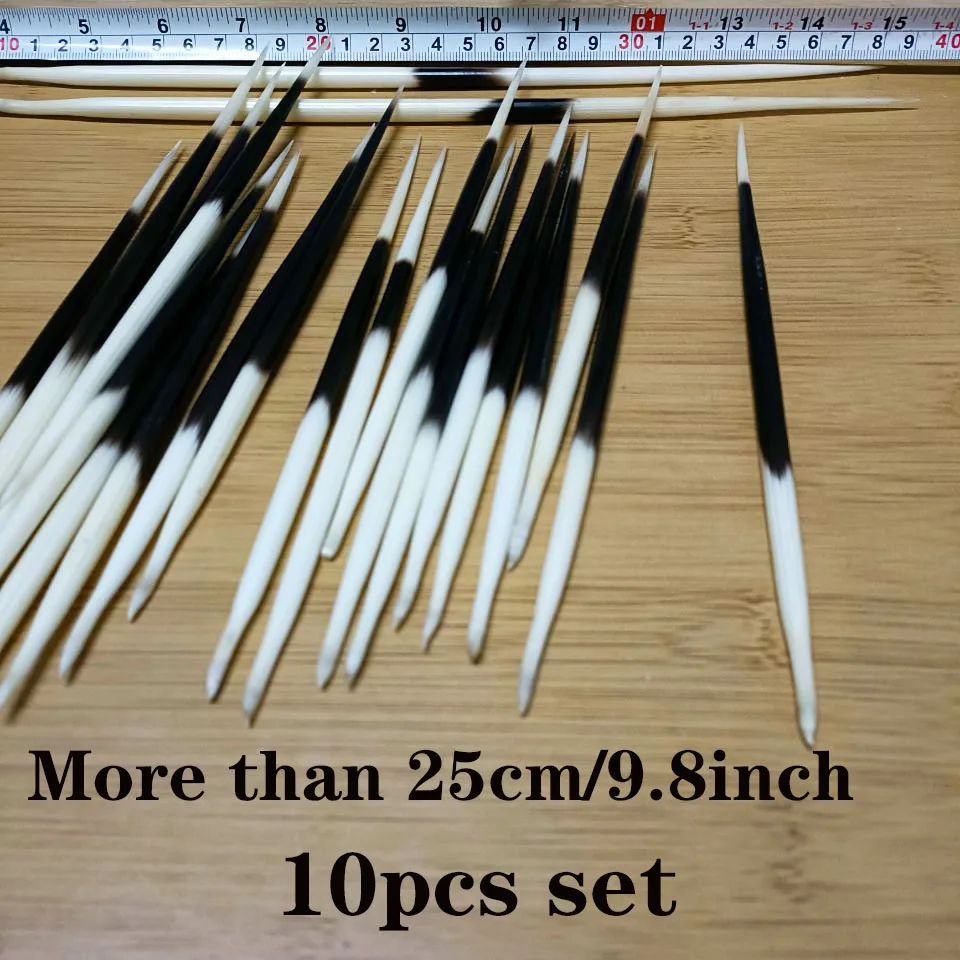 Porcupine Thorn High Quality Fish Float Hair Sticks Accessories Quills Real Porcupine Thorn White Black DIY Quill Buoy Handmade 