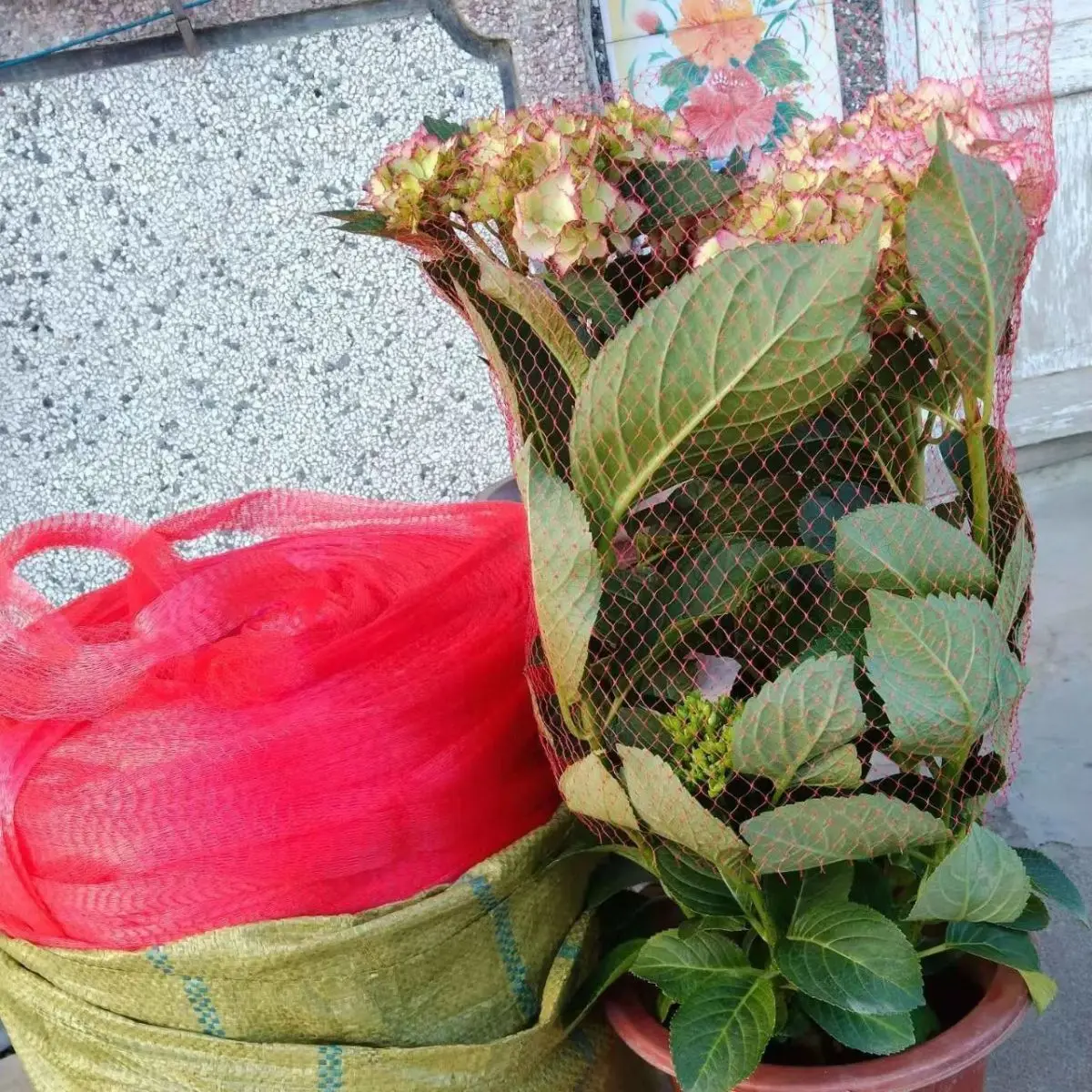 Рисунок 5 - Защитная сетка для цветочных горшков 10 м 30 м 50 м