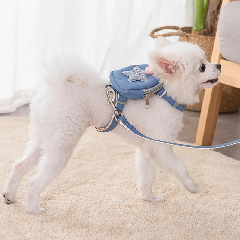 Harnais mignon pour chien et chat, avec sac à main, ensemble de harnais et  laisse pour petits chiens, accessoires de mascotte, Chihuahua en plein air