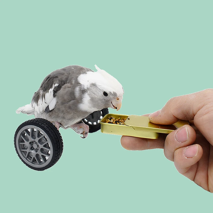 Parrot Balance Toy Birds Intelligence Training Interactive Toy Mini Bicycle Wheels Roller for Small Medium Birds Pet Supplies