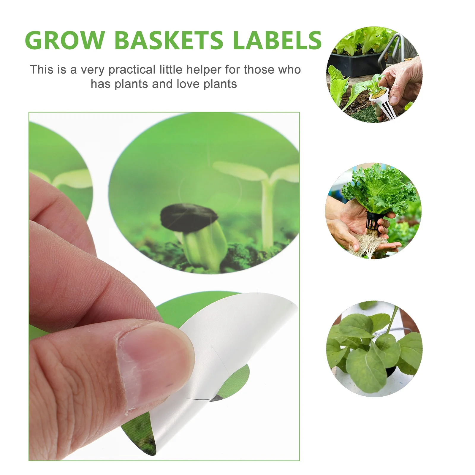 2 Boxes Anti-moss Seed Pot Labels PVC Stickers Peel and Stick Hydroponic Tags For Seed Pods Garden Plant Grow Basket