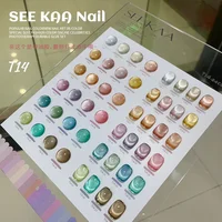 New 2024 Smooth Ceramics Cat Magnetic Gel Nail Polish Silver Moonlight Cat Eye Effect Sparkling Glitter Semi-Permanent Varnish 2