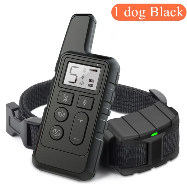 1 dog black