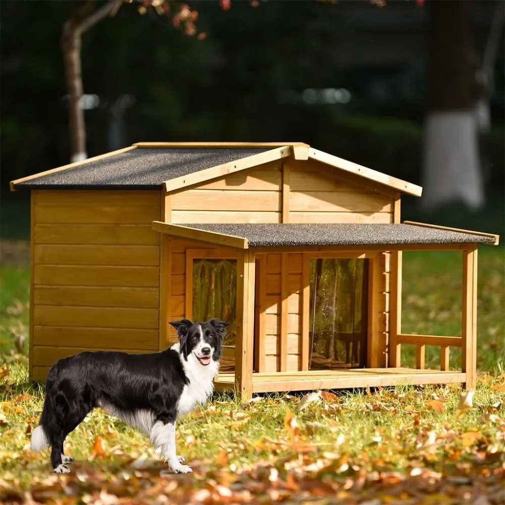 Large Dog House for 2 Dogs 3