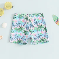 Toddler Boys Elastic Drawstring Board Shorts Summer Swim Trunks Dinosaur/Plaid/Turtle Print Swimwear Beach Shorts Bathing Suit 5