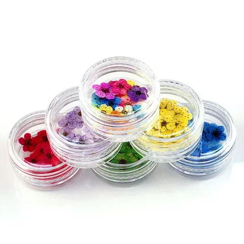 

Box 20pcs DIY Real Dried Flowers For Art Craft Epoxy Resin Candle Making Jewellery Simulation Decoration Holiday Party Supplies