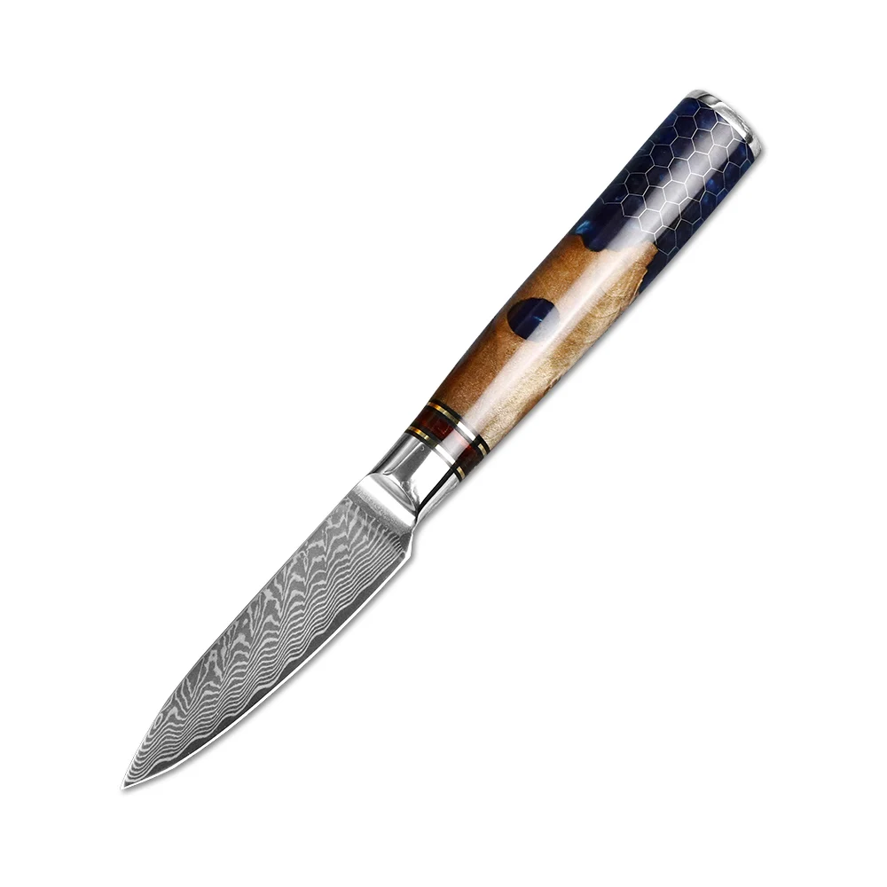 

JUMCSONG 3.5 Inch Fruit Knife 67 Layer Damascus Stainless Steel Japanese Kitchen Knife Honeycomb Resin Handle Chef EDC Tool