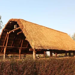 Length 10M Mexican Straw Roof Artifical Plastic Retardant Thatch Simulated Fake Grass Garden Patio Covers  Plant  Roof