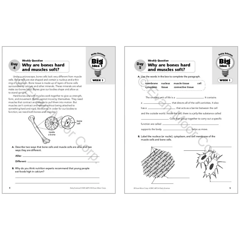 Evan-Moor Daily Science Grade 5 4