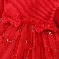 Spring Autumn Newborn Baby Girl Dresses for Girl Princess Lace First Birthday Girl Party Dresses Red Infant Fashion Dresss 5