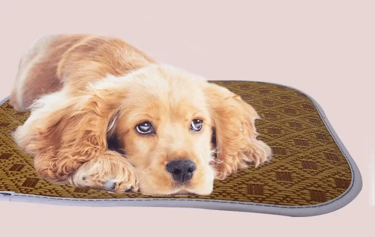 Title 4, High quality puppy mat cool bamboo pet dog bed ...