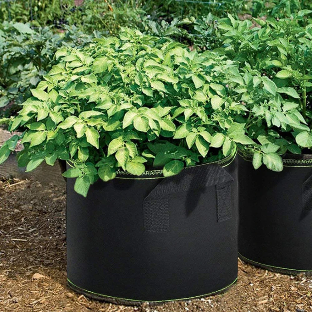 plant grow bags 1/3Pcs Vegetable/Flower/Plant Grow Bags 3/4/5/7/10 Gallon Thickened Non-Woven Grow Bags Aeration Fabric Pots with Handles