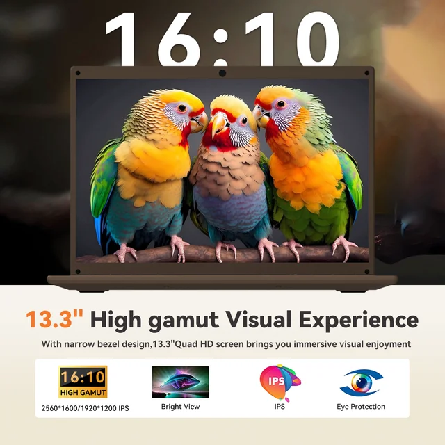 Adreamer LeoBook 13 Laptop 13.3-inch Intel Celeron N4020 8GB RAM 1T SSD Windows 10 Computer Office School Notebook PC 2