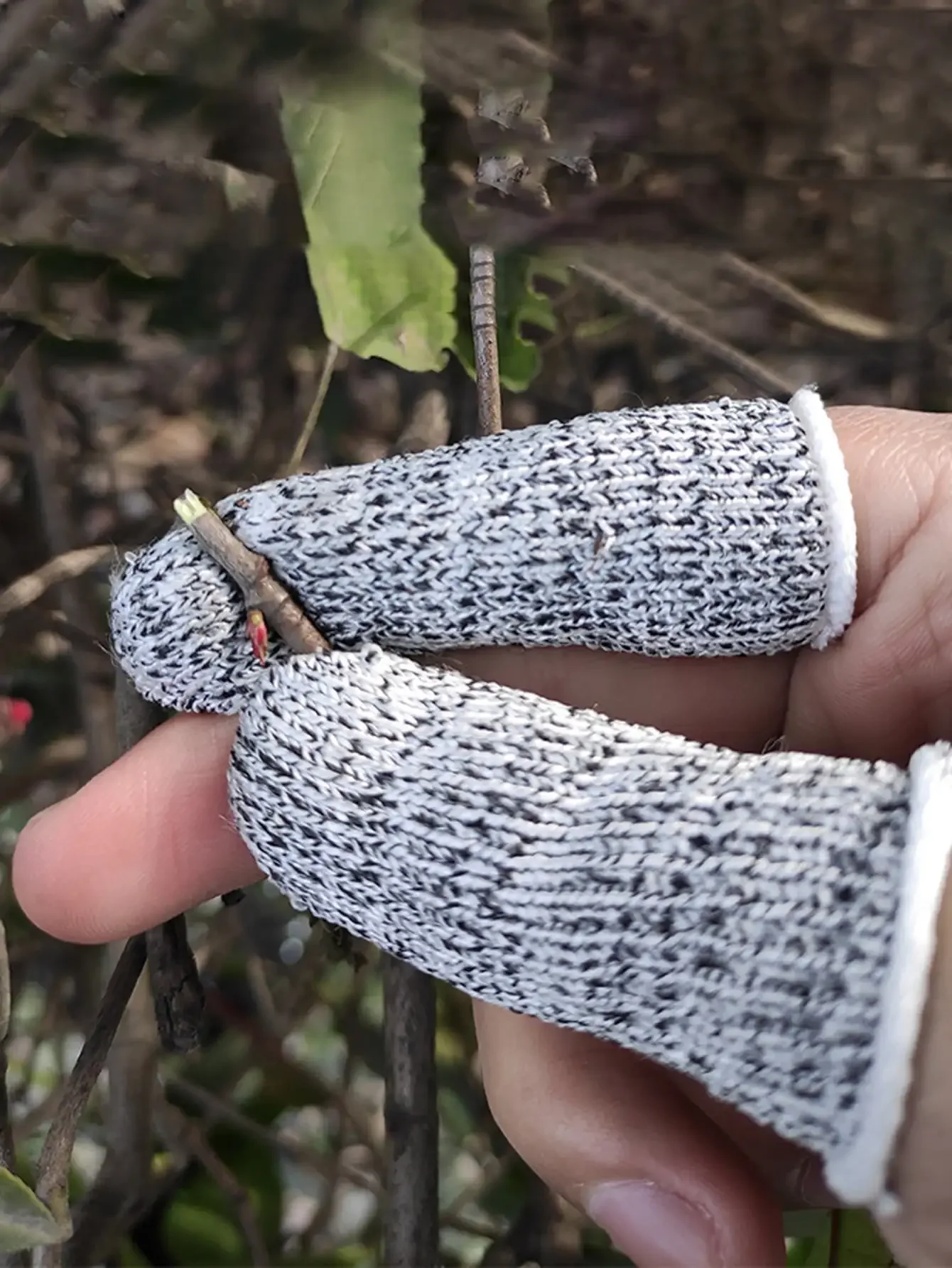 Description Picture 3 of item10pcs Thumb Knife Finger Protectors, Cutting & Harvesting Plant Picking Gloves, Kitchen Gadget, Vegetable Picking Accessories 