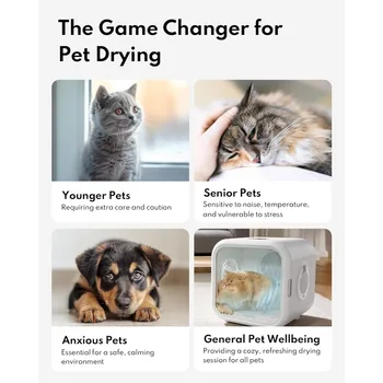Cat Dryer, 360° Efficient Automatic And Quiet Box With Smart Temperature Control, Ideal For Small Dogs 2