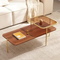 Modern Glass and Wood Coffee Table for Living Room, Mid-Century Brown Glass Coffee Table, Double Layer Center Table. 1