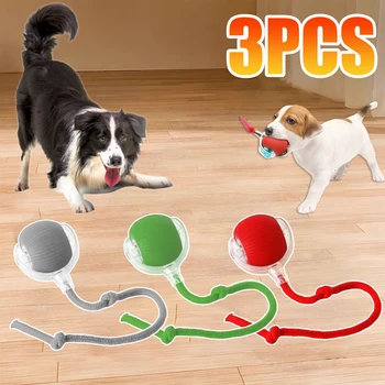 Interactive Ball Toys 1