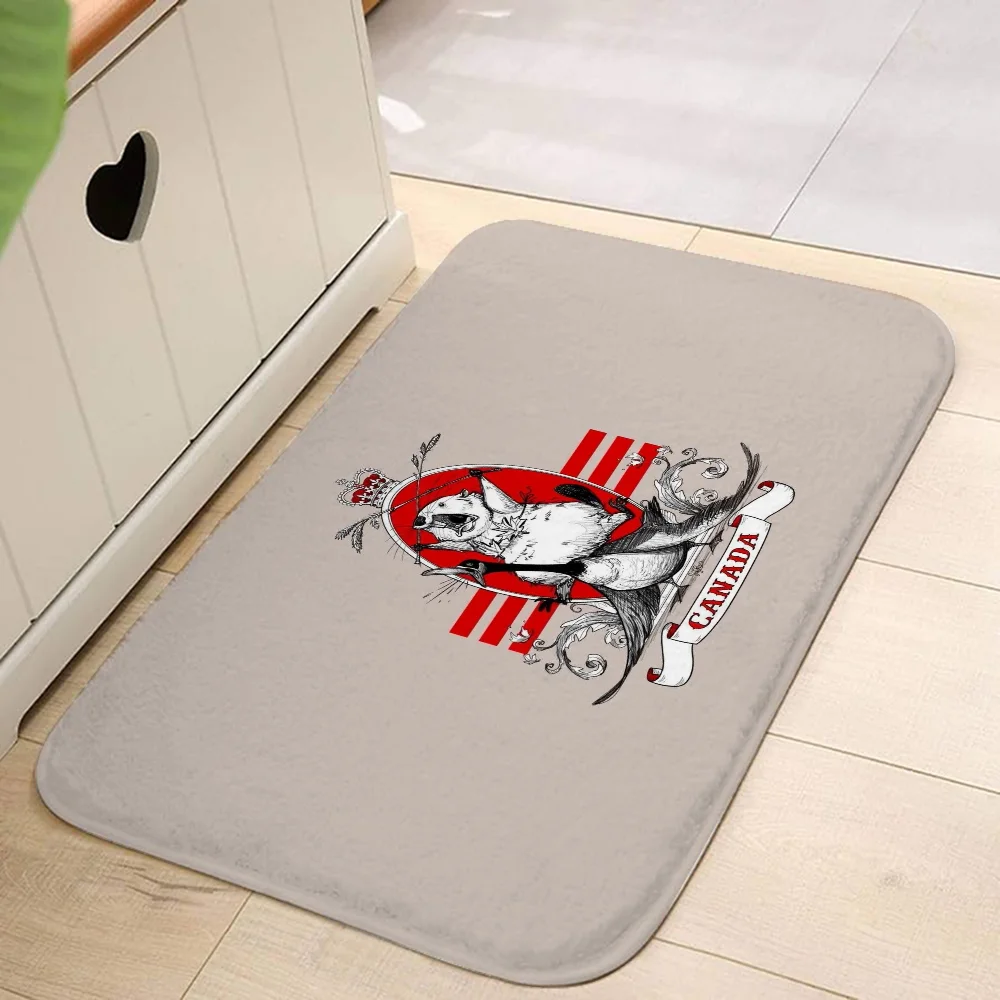 Cute Carpet Rug Mat Canada-goose Outdoor Doormat Entrance to Home Decoration Accessories Rug for Bedroom Mats Kitchen Floor Mat 2