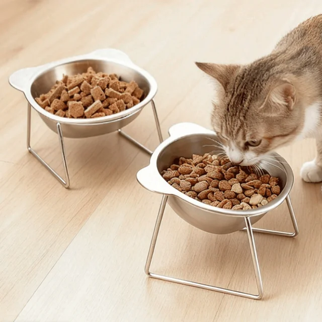 304 Stainless Steel Raised Cat Bowl with 15° Elevated Tilted Design Neck Guard Shatterproof Anti-Slip Healthy Feeding Pet Bowl 3