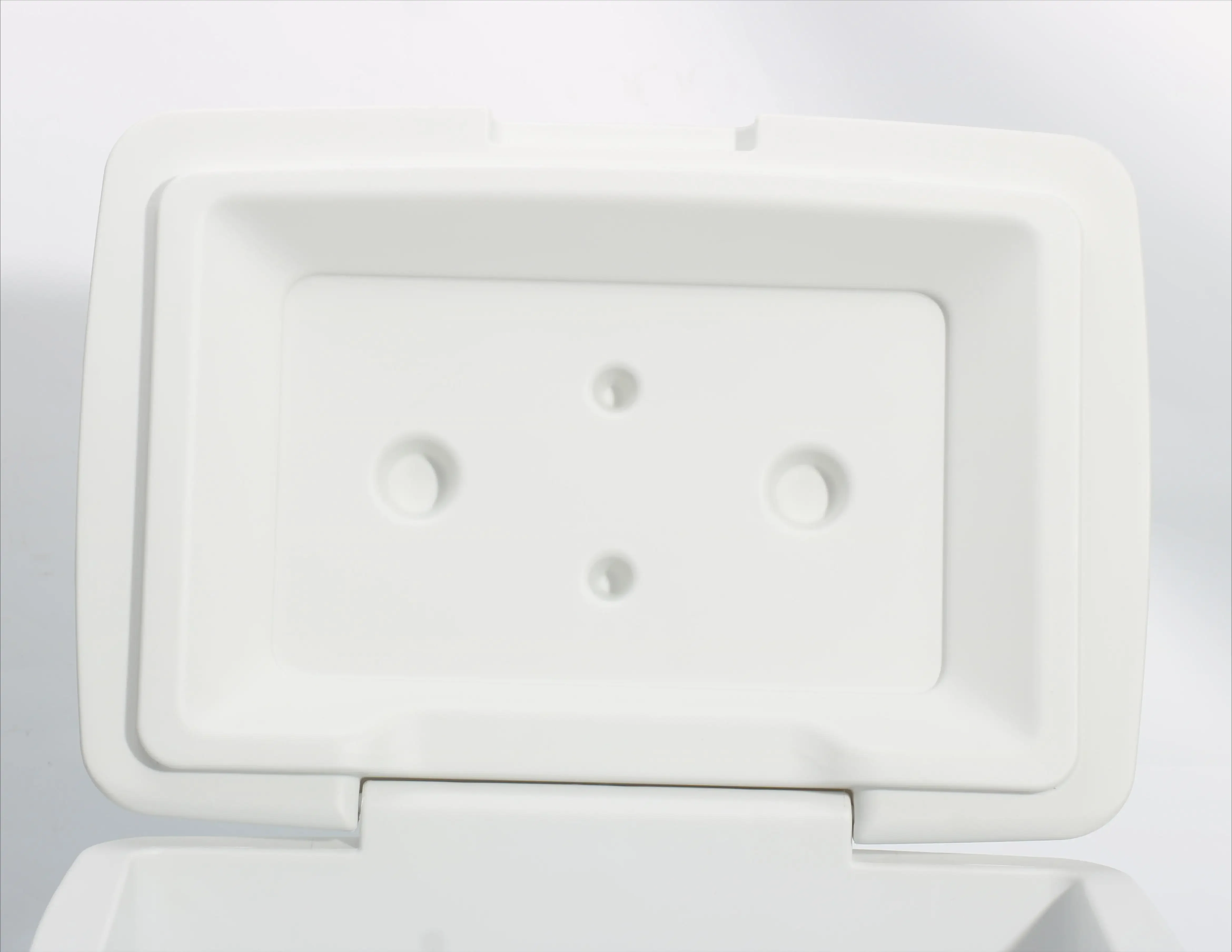 Cold Chain Freezer Ice Cooler Box with Wheels, Customized, Portable, Keep Food Warm, Retail, Medium Size, 30L