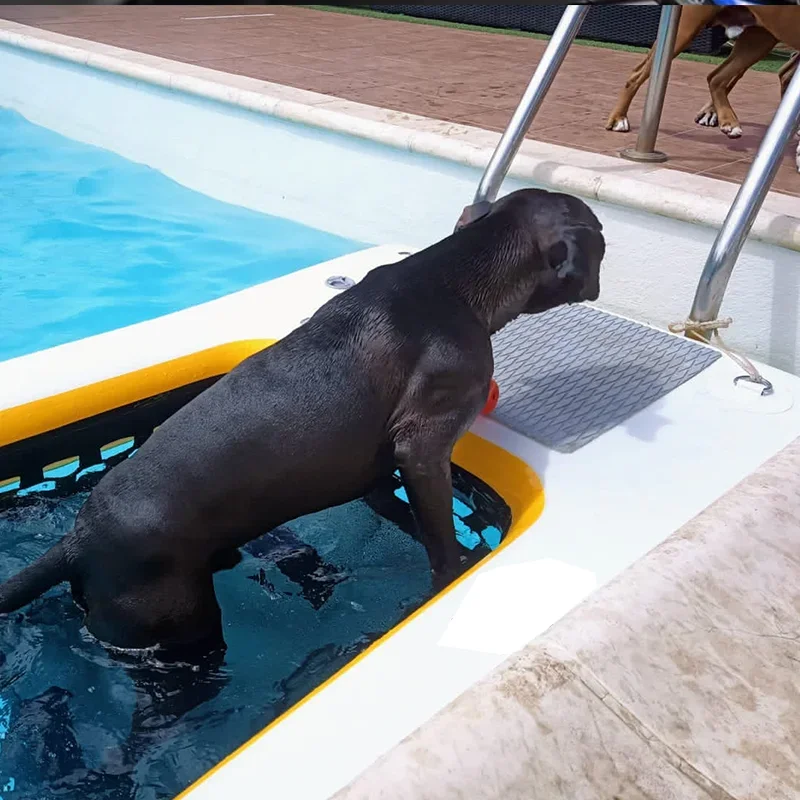 Slide image 2bc979d8d6d14be380344efd5bd8d368