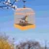 Voice Control Birdcage Toy Tots Toys Realistic Sounds Electronic Talking Chirping Parrot Parakeet 4