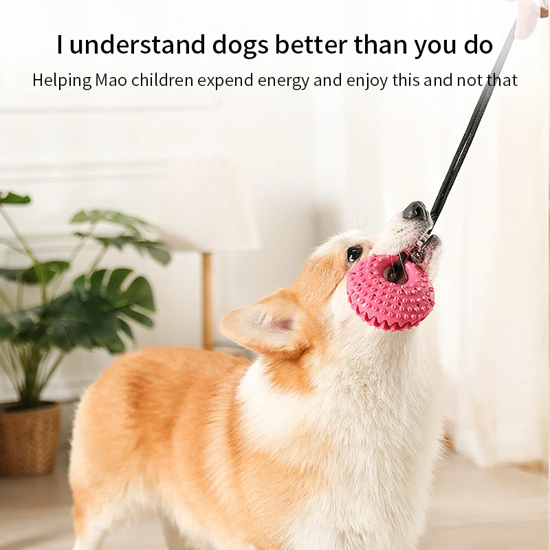 https://ae01.alicdn.com/kf/S63af2fd022bf4edbb02031477831b4a93/Dog-Toys-Suction-Cup-Tug-Interactive-Bite-Resist-Tooth-Cleaning-Dog-Ball-for-Medium-Large-Dogs.jpg