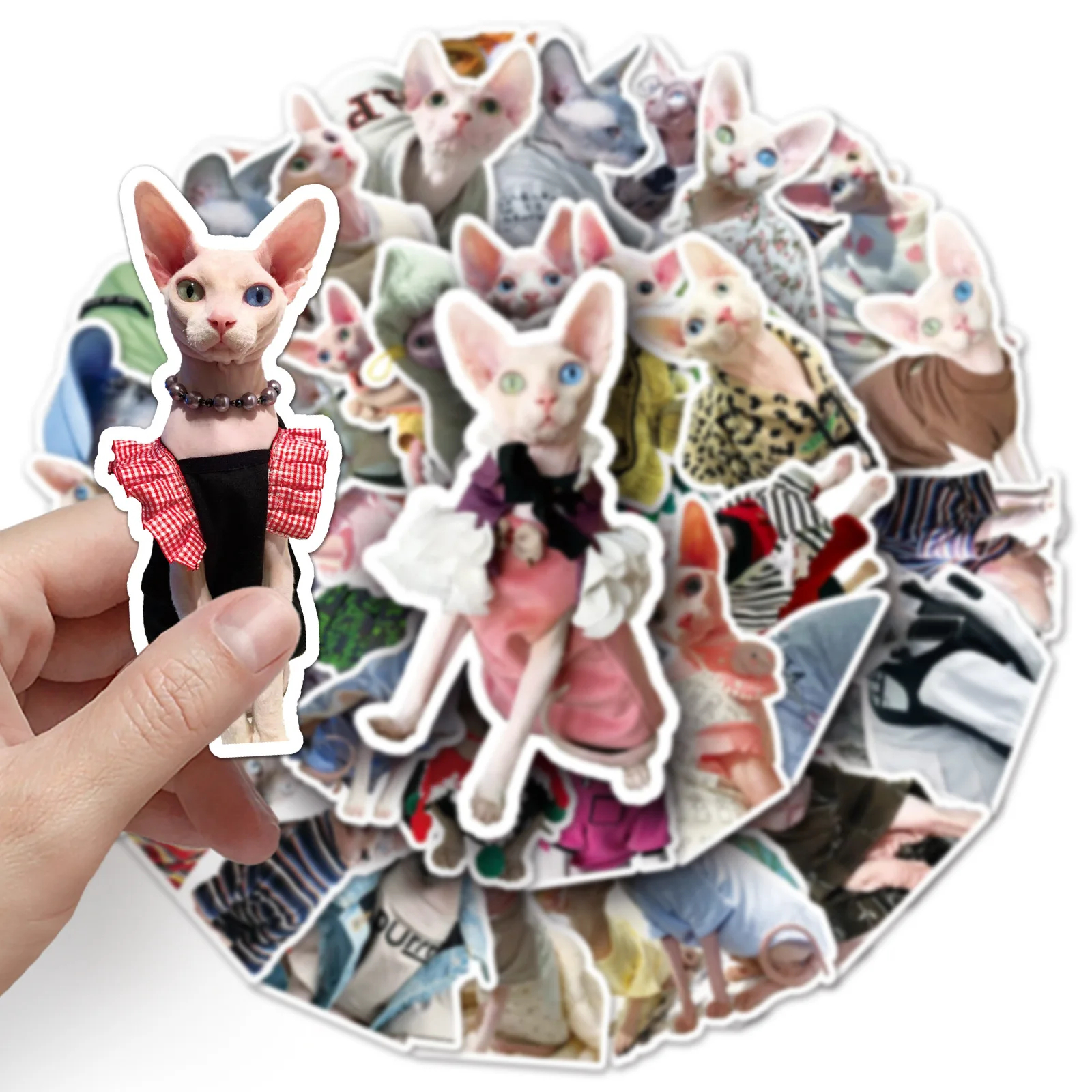 Hairless Cat Sphinx Series Graffiti Stickers 50Pcs Laptop Helmets Desktop Decoration DIY Toys
