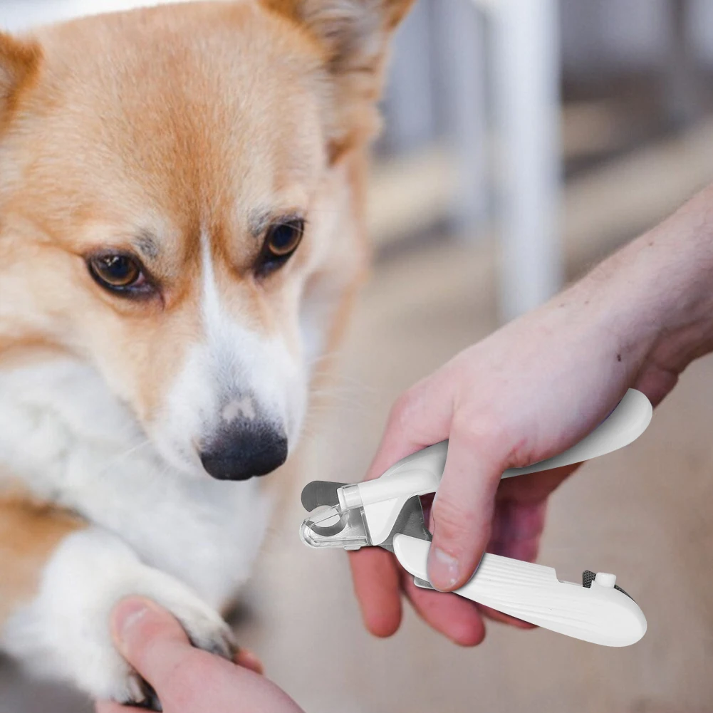 Professional Pet Nail Clippers with Led Light Pet Claw Grooming Scissors for Dogs Cats Small Animals Paw Nail Trimmer Pet Supply