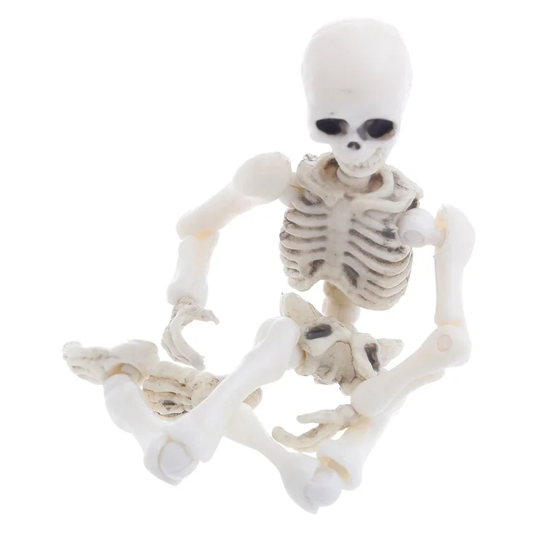 Design Of Fashion Mr. Bones Skeleton human model Skull Full Body Mini Figure Halloween Children Gift Collectible