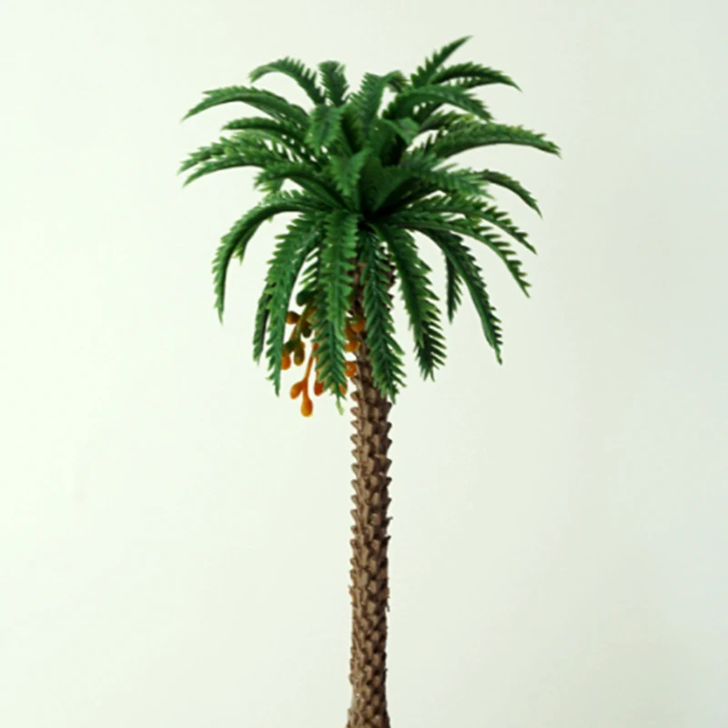 Рисунок 6 - 6/9/12/15 см, Африканский кокосовый суккулент