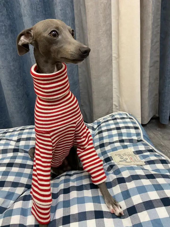 Italian Greyhound Red Striped Sweater Whippet Turtleneck Coat