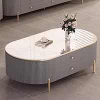 Modern Decorative Coffee Tables Luxury Decor Metal Minimalist Coffee Tables Unique Oval Stolik Kawowy Living Room Furniture 1 Modern Decorative Coffee Tables Luxury Decor Metal Minimalist Coffee Tables Unique Oval Stolik Kawowy Living Room Furniture 1