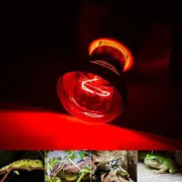 25W 40W 50W 60W 75W 100W E27 Poultry Heating Bulb Infrared Insulation Heating For Reptiles Plants Amphibians Pets Livestock Lamp 2