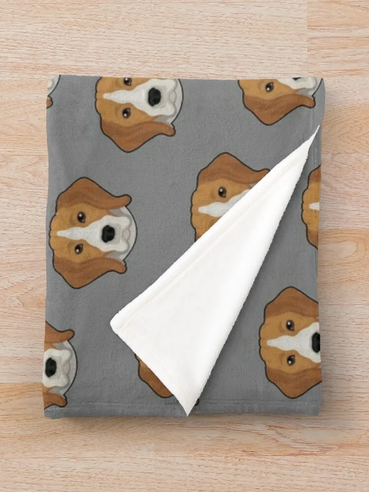 BEAGLES & MORE �Ϳ��� ���  ħ�� ������ ���, ��� ���� ���, ���� ���, ���Ÿ�