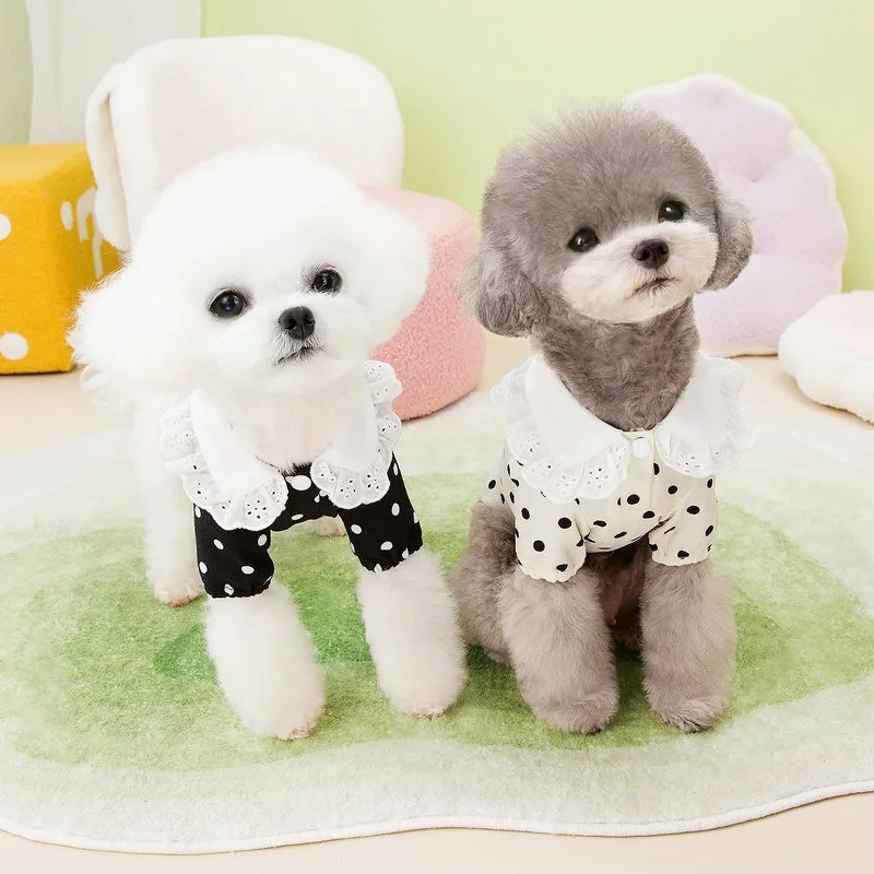 애완동물 폴카 도트 티셔츠, 얇은 통기성 강아지 가디건, 요크셔 테디, 두 다리 옷, 애완동물 의류, 여름 신상