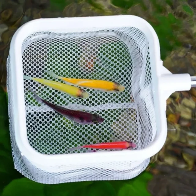 Extendable Aquarium Square Net - Stainless Steel Fish & Shrimp Catcher w/Foldable Handle, Tank Clean Tool for Plant/Algae Extendable Aquarium Square Net - Stainless Steel Fish & Shrimp Catcher w/Foldable Handle, Tank Clean Tool for Plant/Algae