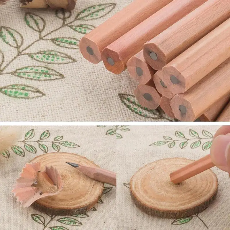 �л��� ���� ���� ����, �б� ����, ���� ����ִ� �������� ����, ������ �ִ� �ܾ�, 10 ��