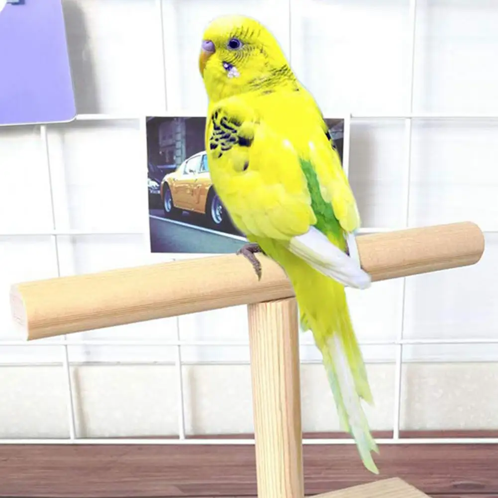 Parrot Rack Stand Wooden Tabletop Perch Durable Safe Eco-friendly Parrot bird perch