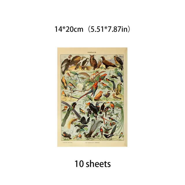Insect Stickers 2