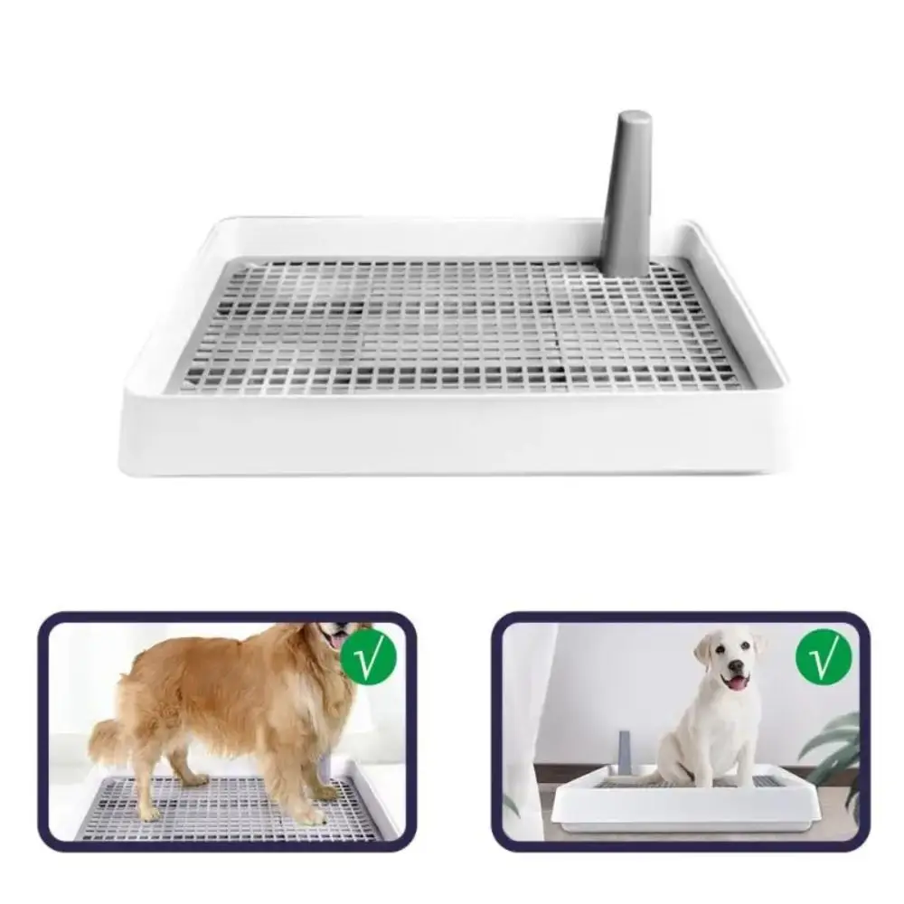 Slide image e3a3130ff8404d46b03dd2b33b315b95